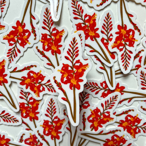 Red Lucifer Crocosmia - Spring Flower Sticker