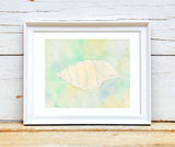 "Under the Sea" - A collection of original watercolour paintings - Shop Motif 