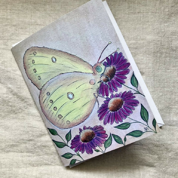 Clouded Sulphur Butterfly Notecard