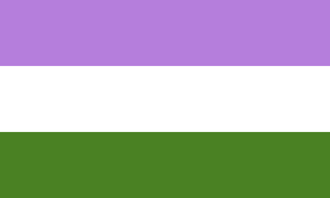 Genderqueer Flag 