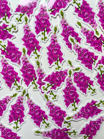 Pink Foxglove - Spring Flower Sticker