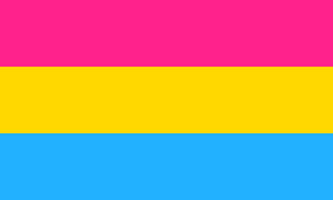 Pansexual Flag 