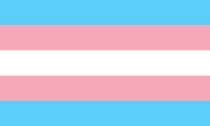 Transgender Flag 