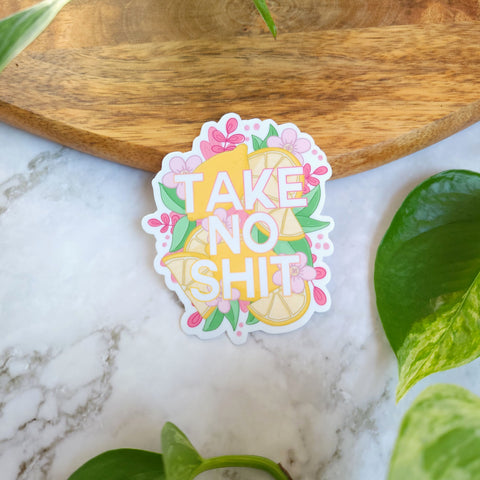 Take No Shit 3" Vinyl Sticker