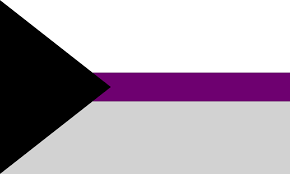 Demisexual Flag 