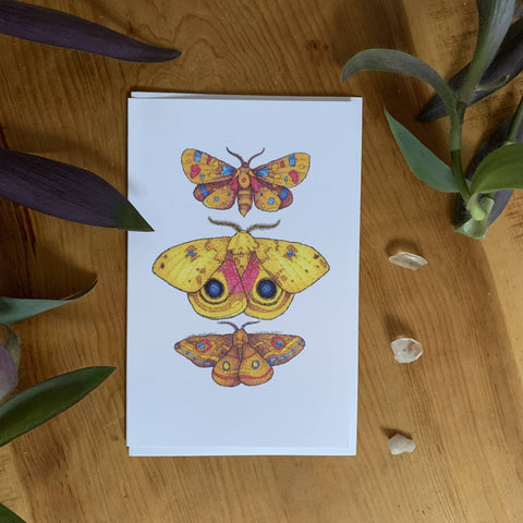 Multiple Moths Greeting Card - Shop Motif