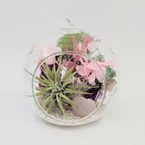 Orb Terrarium - Shop Motif 