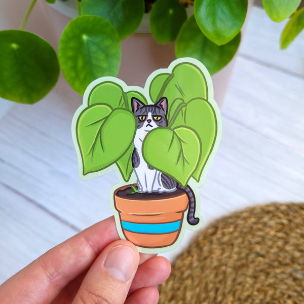 Plant Kitty 3.5