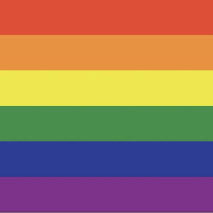 Rainbow Flag - Shop Motif 