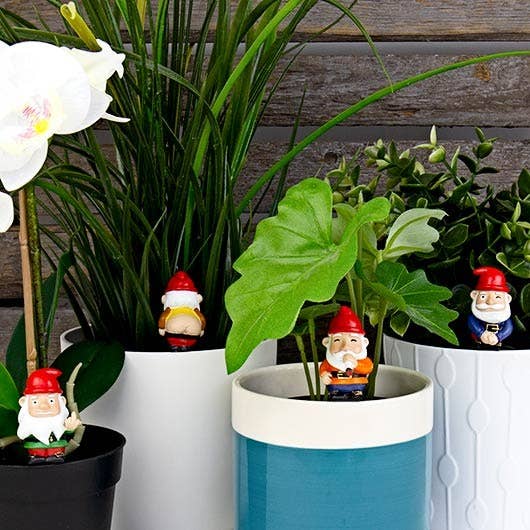 Gift Republic - NAUGHTY GNOMES PLANTERS